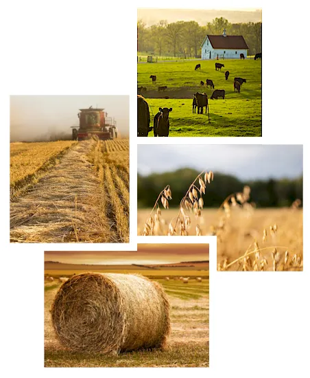 America was built on small farms